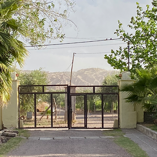 A Postcard From South America Mendoza 2