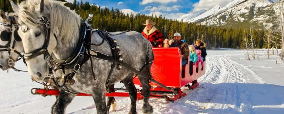 Horse drawn sleigh