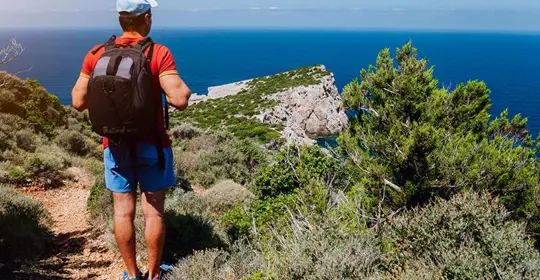 Wildflowers Of Crete Fgrsc