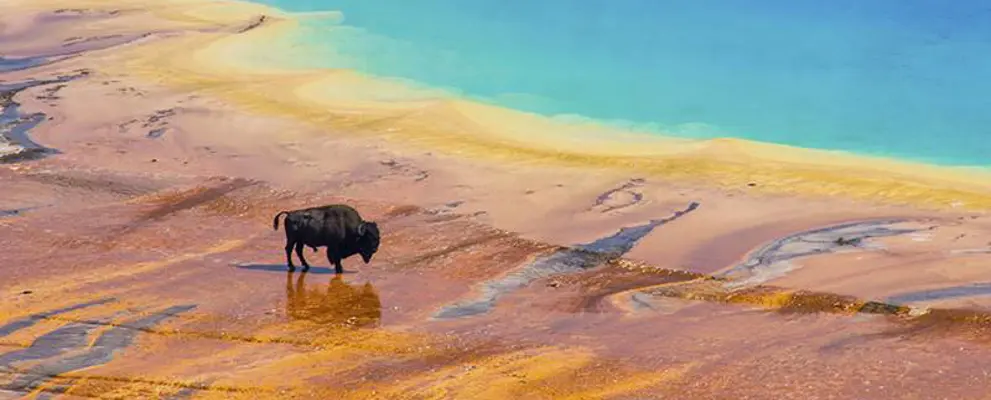 Yellowstone Park, United States of America