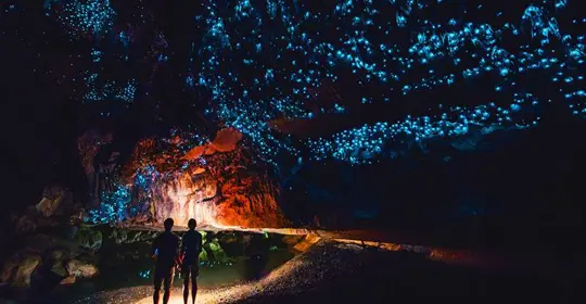 Lnz Favourite Moment