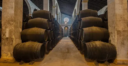 Traditional Trains Of The Pyrenees Pspyr