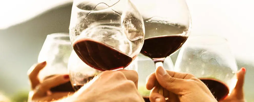 wine tasting holiday