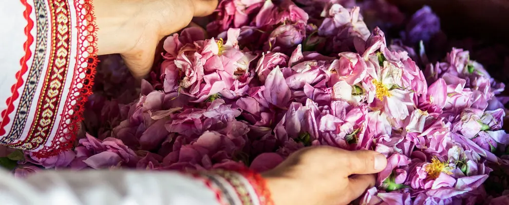 Rose distillery Bulgaria