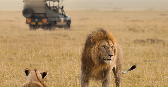 South Africa Favourite Moments 800X500