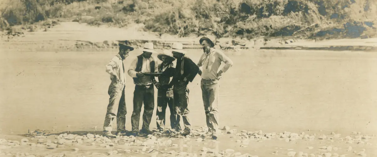 USA-Carousel Container-02.jpg