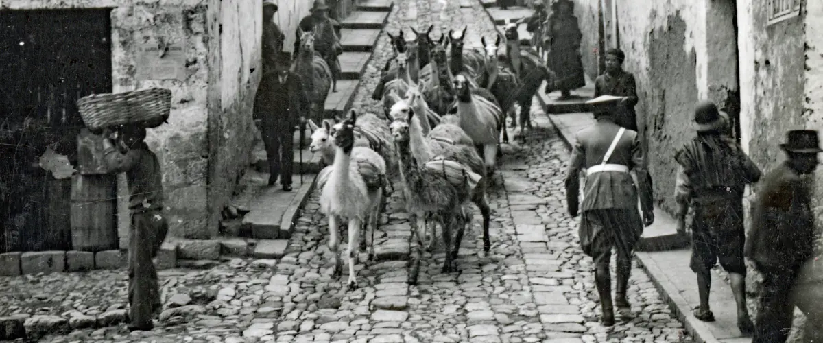 Latin-Carousel Container-02.jpg