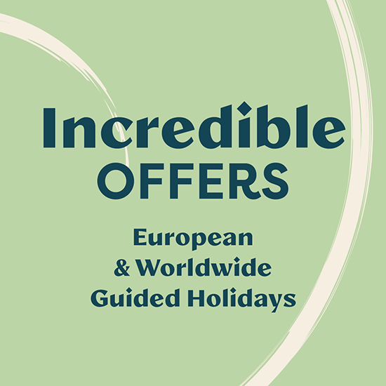 TRAV 24 Incredible Offers Web Pod 550X550